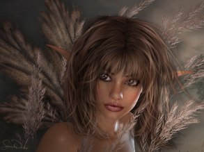 ������� ������ ����